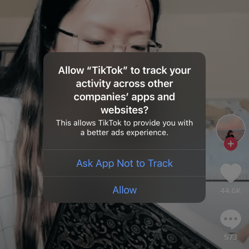 TikTok Privacy Message